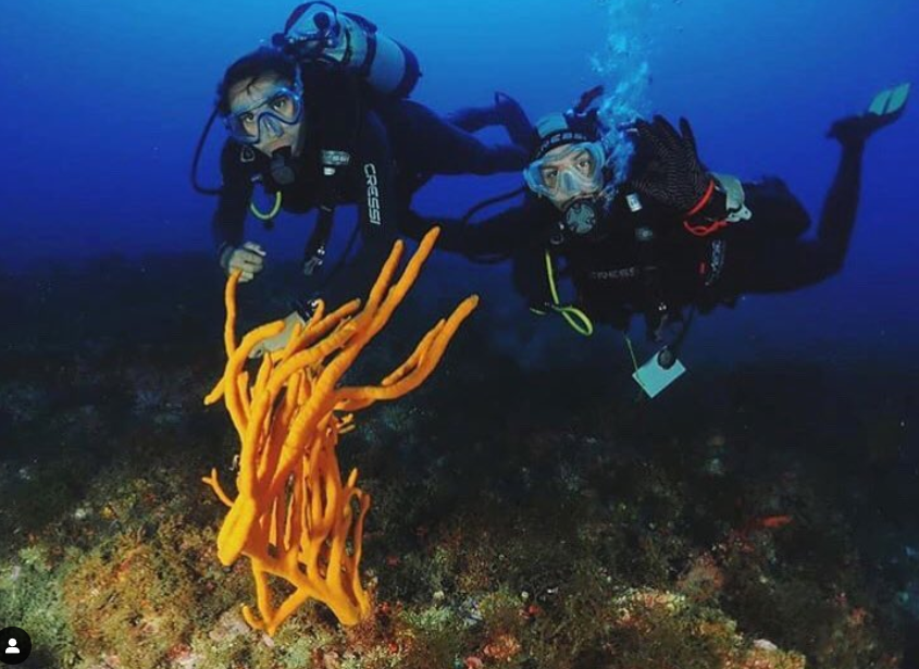 Ecoturismo es una apuesta segura