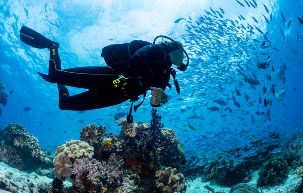 Planes personalizados para grupos